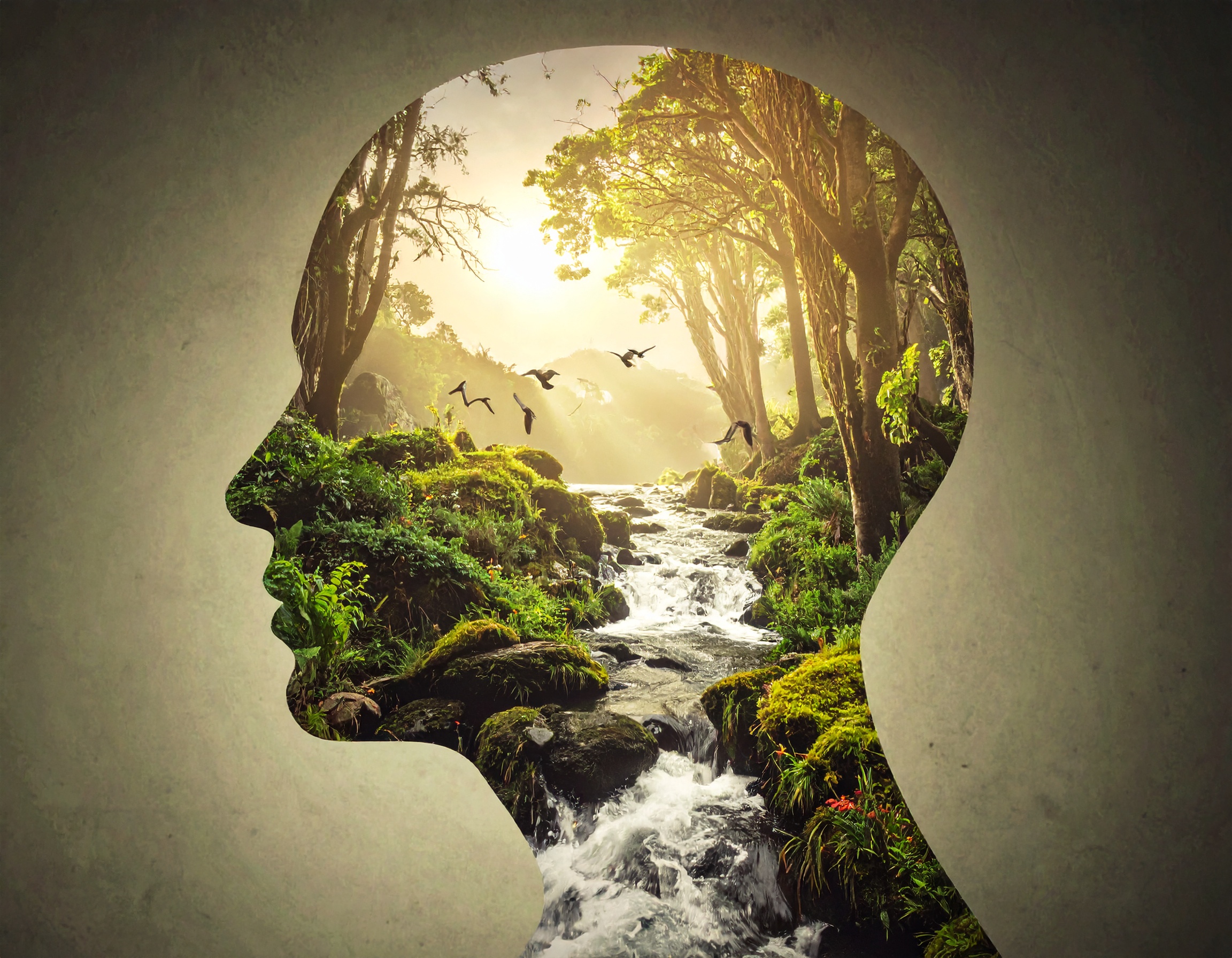 Mental wellness and emotional balance visualization